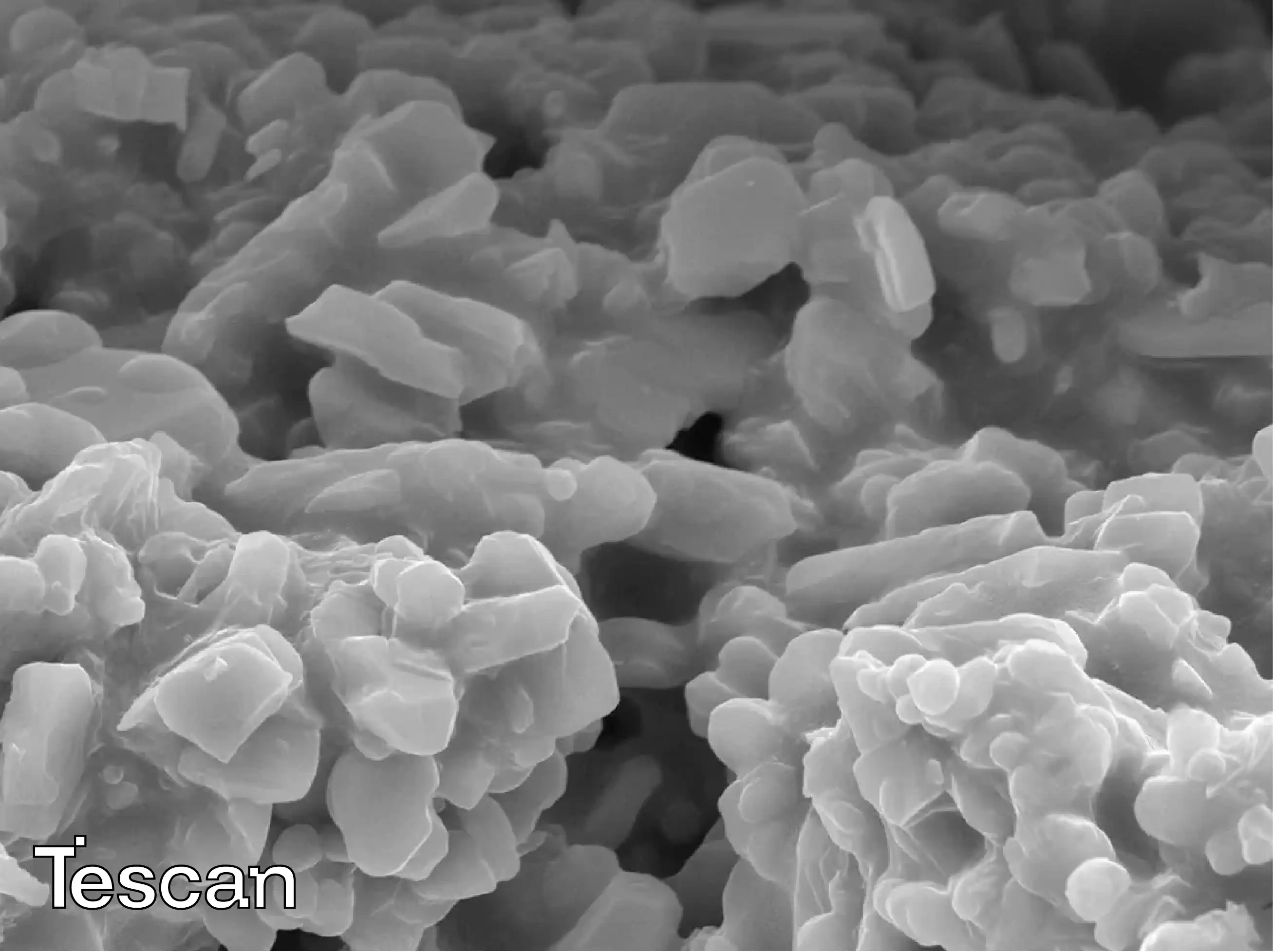 Tescan Life Science SEM